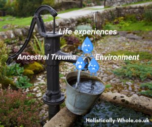 Origin of trauma - Life experiences or enviroment