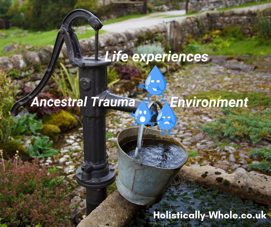 Origin of trauma - Life experiences or enviroment